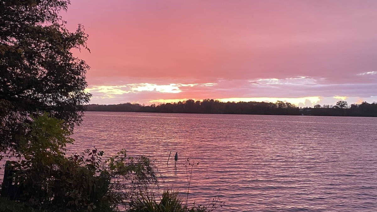 West Branch Cottage | Charming up north cottage on all sports Peach Lake!