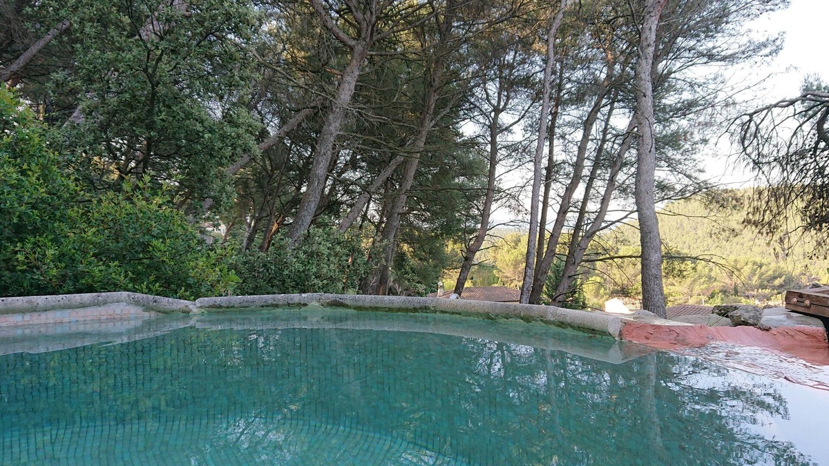 Cornillon-Confoux House | Charming villa with swimming pool in a pine forest
