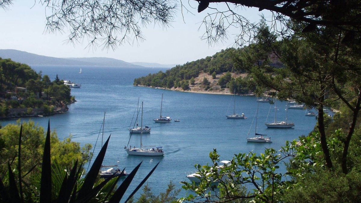 Bobovisca Villa | Charming Villa Anna with pool, beautiful garden and amazing views