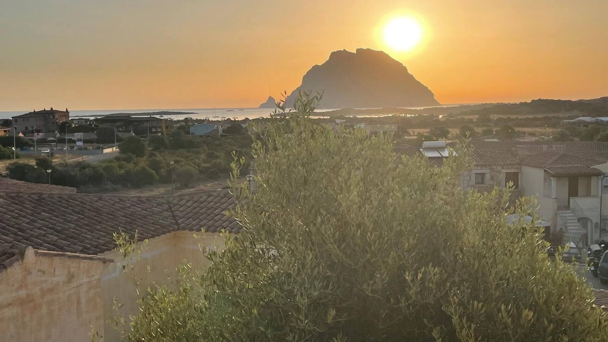 Porto San Paolo House | Charming villa. Garden, veranda overlooking Tavolara, Wifi, Pet friendly