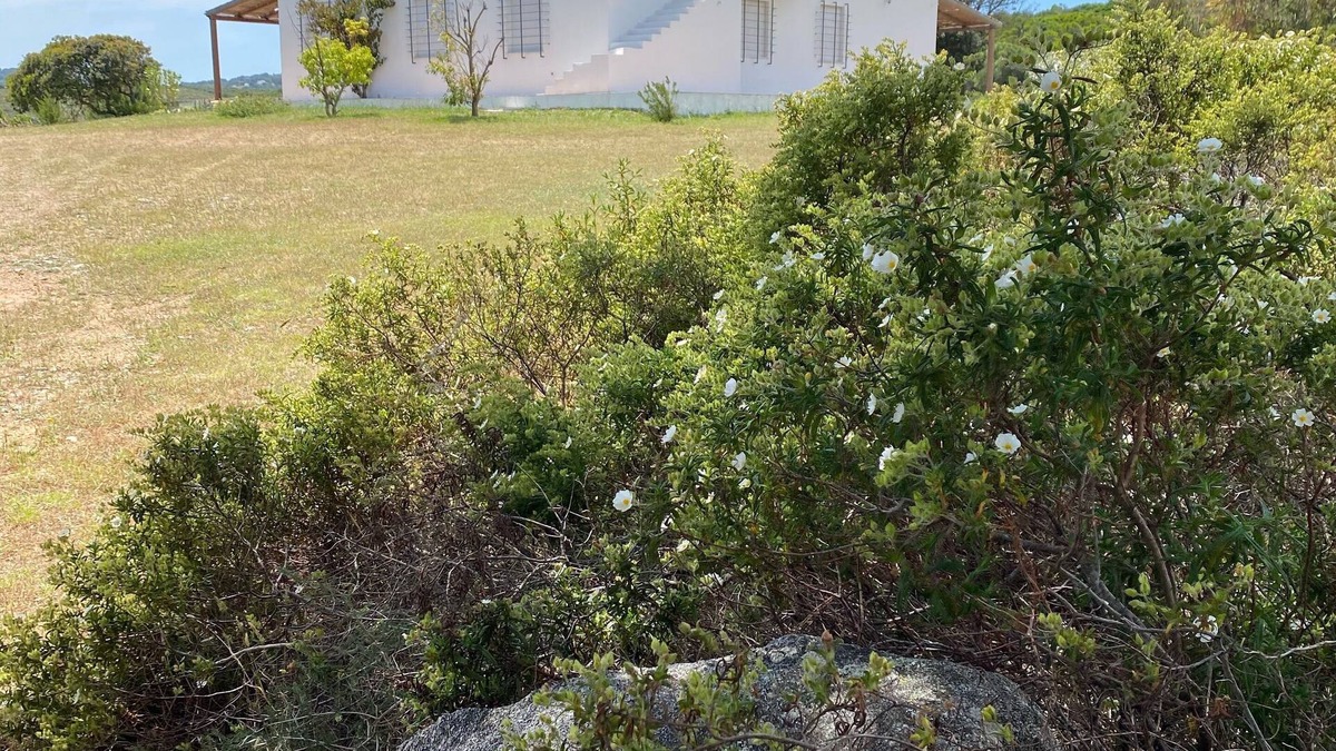 Santa Teresa di Gallura Villa | Charming villa located in front of the Maddalena archipelago