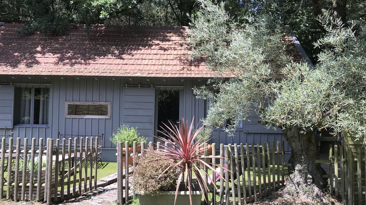 Biganos Cottage | Charming wooden house* typical of the Basin in the heart of the forest with bicycles