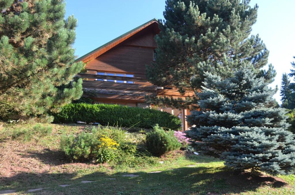 Trutnov Ski Chalet | Chata Dolce