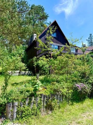 Velky Bor House | Chata Komušín