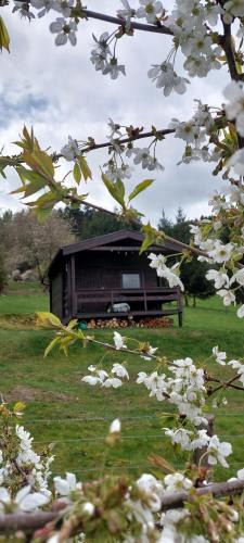 Vrhavec Ski Chalet | Chata na samotě, Šumava