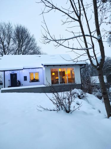 Bela pod Pradedem House | Chata nad potokem