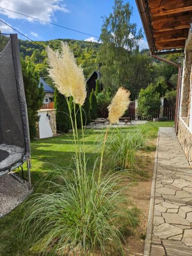 Myto pod Dumbierom House | Chata Provence