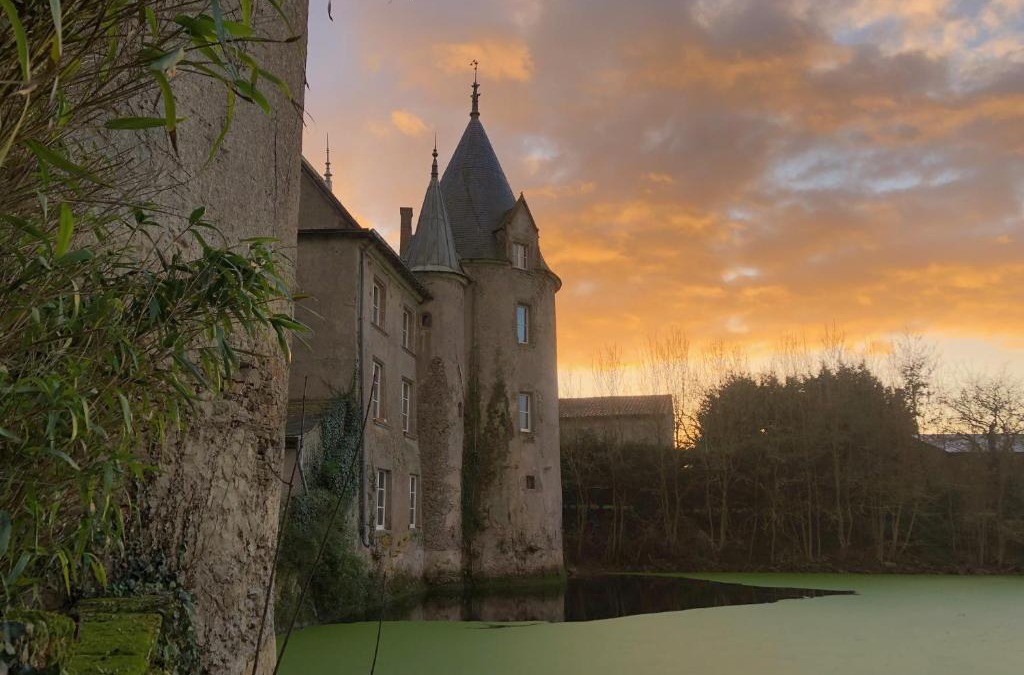 Saint-Hilaire-de-Loulay House | Chateau de la Preuille Gites