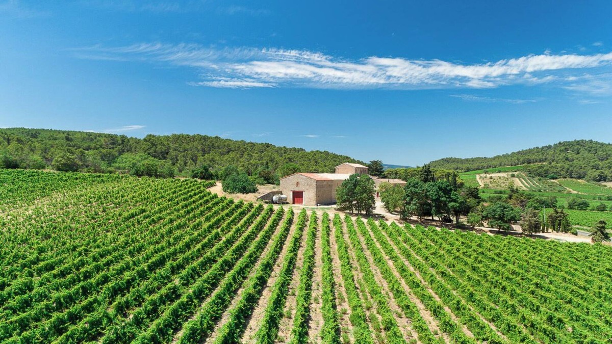 Lagrasse House | Chateau de Prax Viel, swimming pool, mini farm, air-conditioned - Gîte Grenache