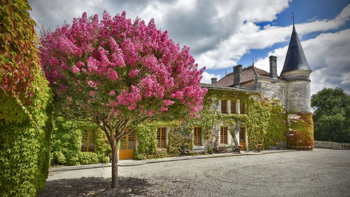 Saint-Sulpice-de-Cognac Other | Château du Plessis - a magnificent château in the heart of the Cognac vineyards