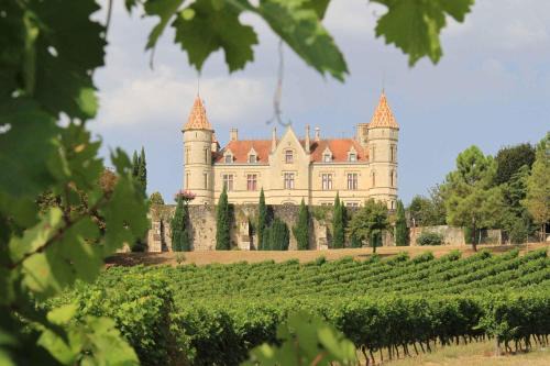 Leyritz-Moncassin House | Chateau Moncassin