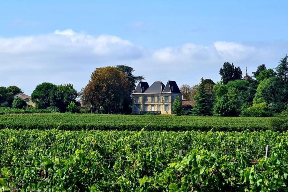 Bayon-sur-Gironde House | Chateau Tanesse de Tourny