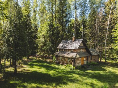 Bialowieza House | Chatka w lesie