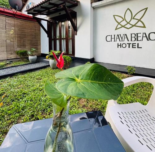 Tangalle Hotel | Chaya Beach Hotel,Tangalle