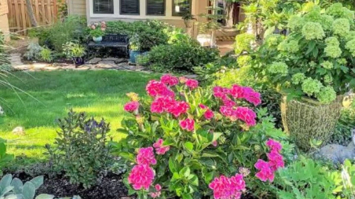 Arnold Creek House | Cheerful 4 bedroom house with gym access
