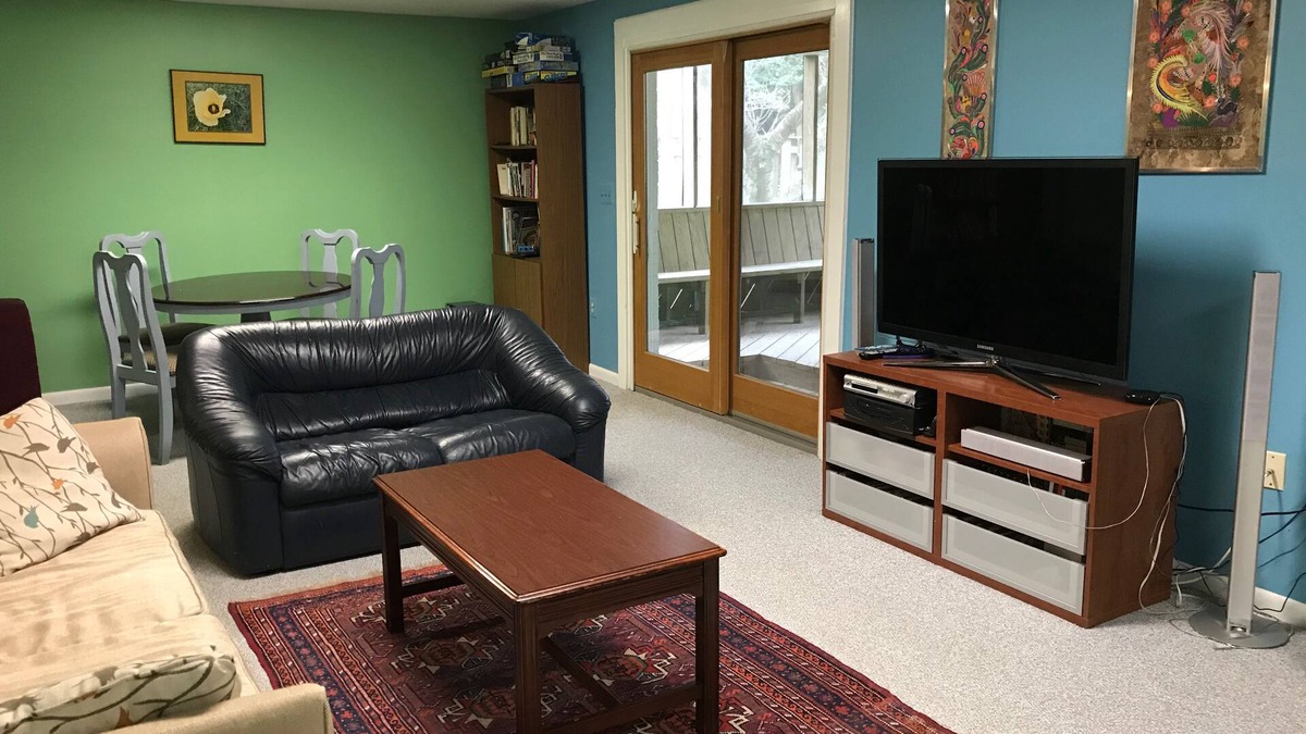 McLean Apartment | Cheerful, comfortable home in quiet lush area, 15 min from Washington DC