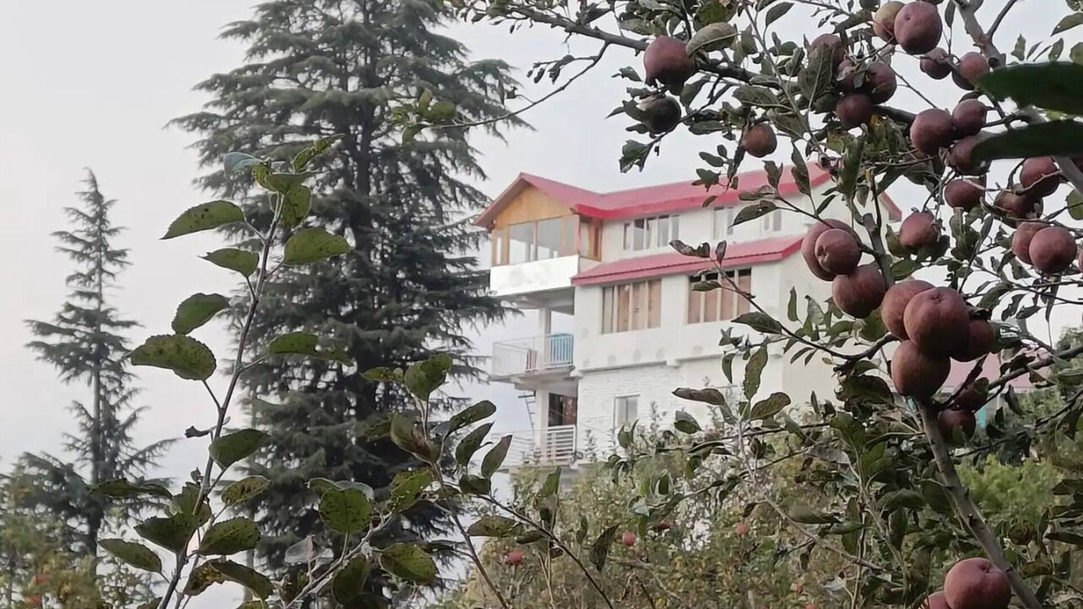 Kumharsain Bed & Breakfast | Cheerful rooms | Dyar Koul | Kotgarh 2