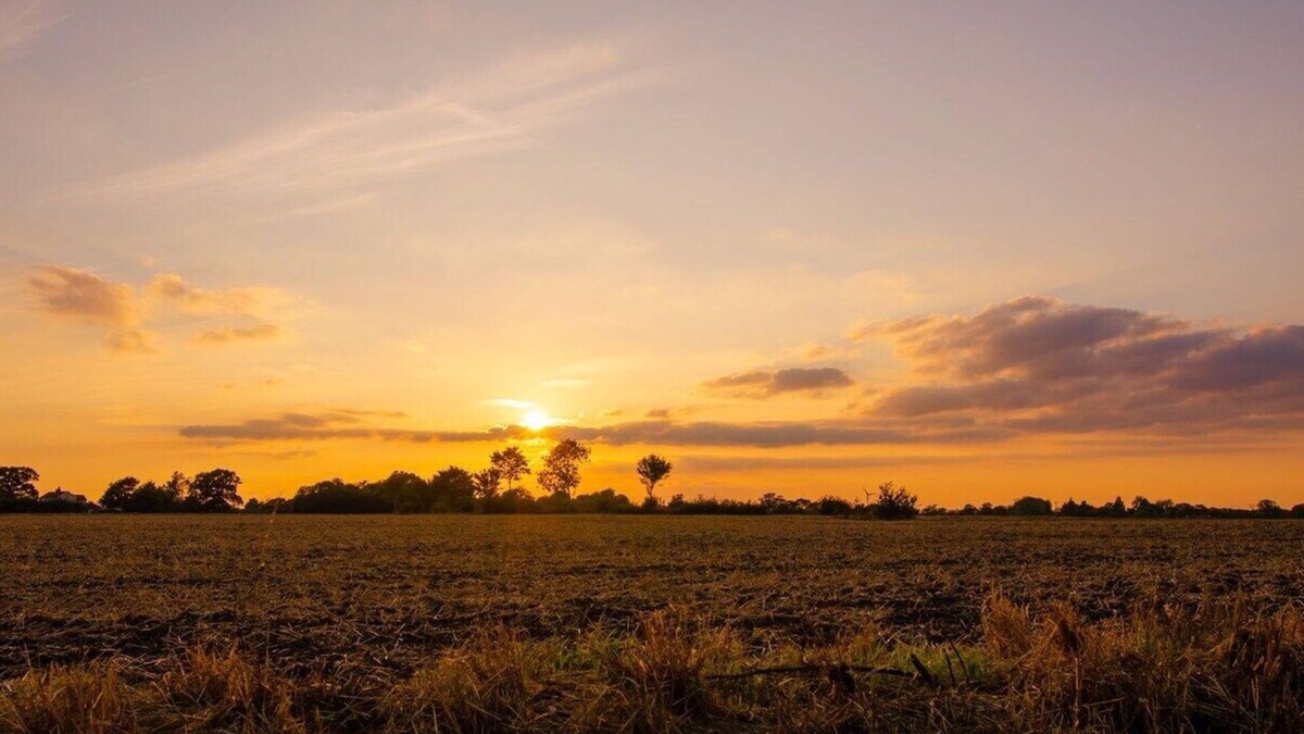 Framlingham Cottage | Cheerful two bedroom cottage with field views