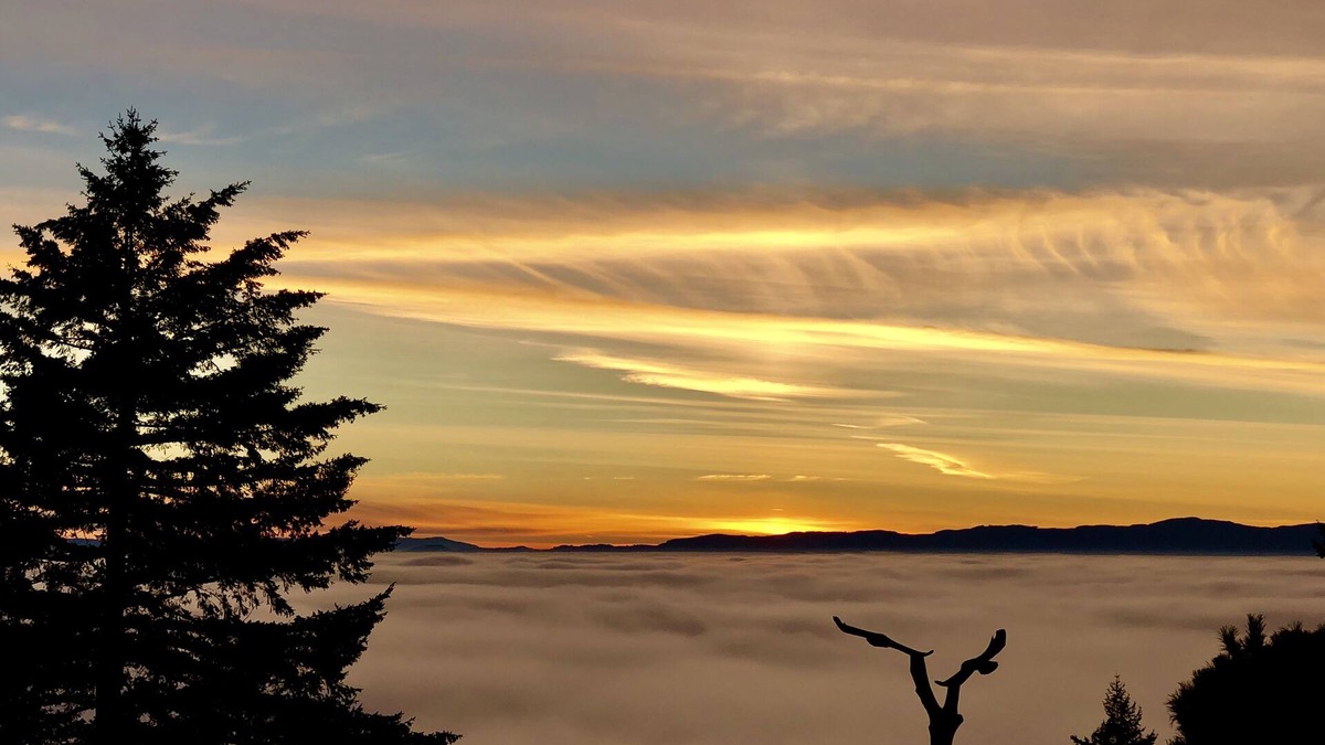 Newberg House | Chehalem Mountain Wine Cottage With Sweeping Views Of Wine Country