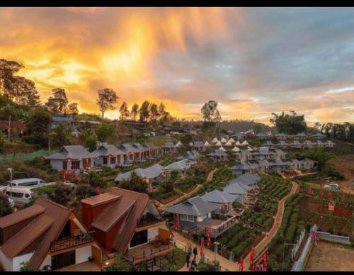Mok Cham Pae Hotel | Chenfong Rakthai Resort-ไร่ชาเฉินฟงรีสอร์ท