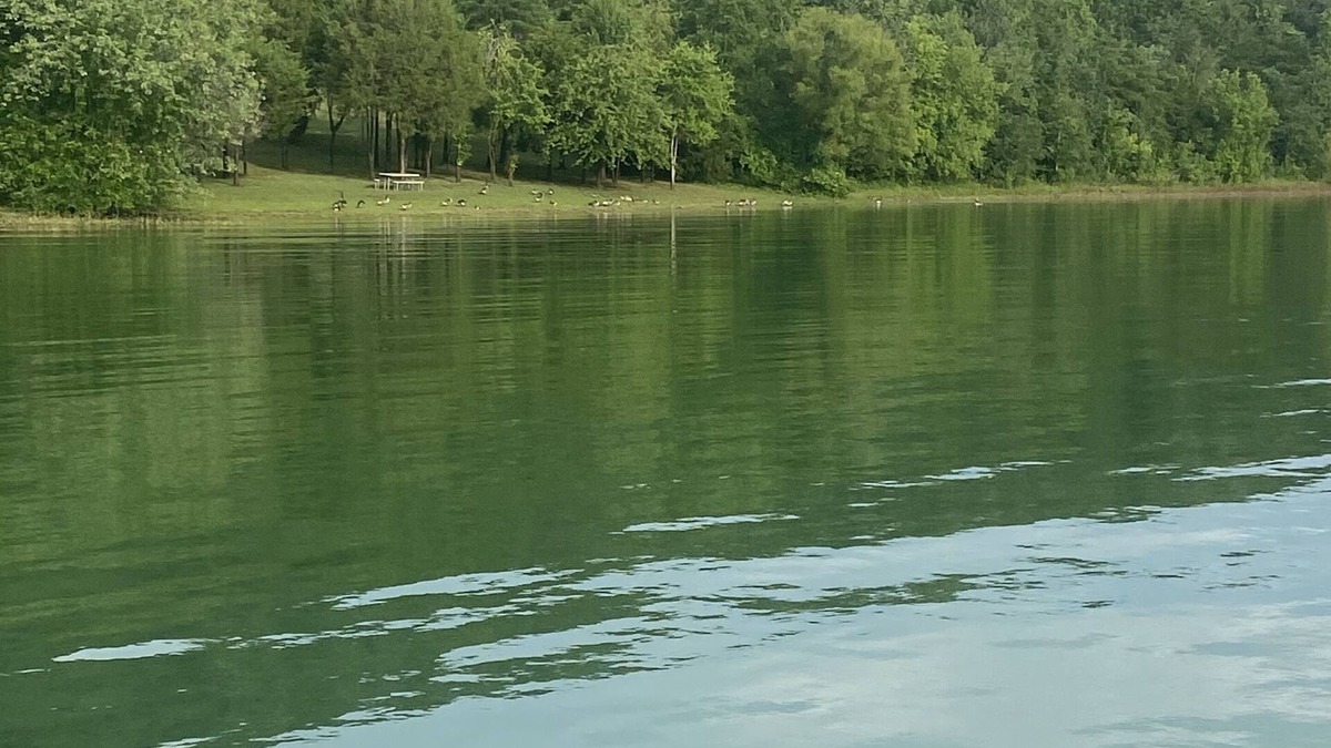 Arthur Cabin | Cherokee Lake view by Gilmore Dock 1 hour from Gatlinburg