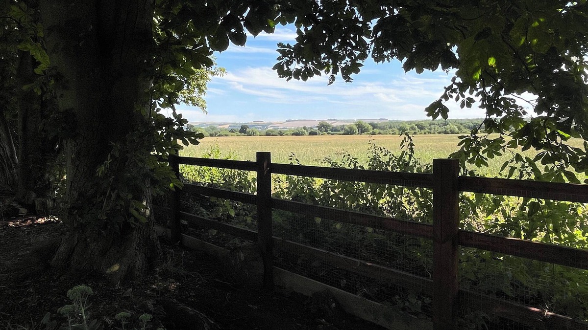 Shrivenham House | Cherry Bungalow Guesthouse