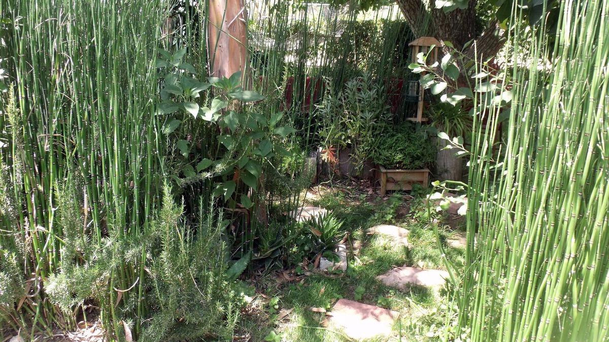 Cherry Valley Cottage | Cherry Valley Guest Cottage