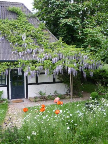 Rantzau Apartment | Chestnut Cottage
