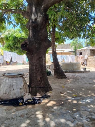 Mar Fafako House | Chez Fatou - Immersion au cœur du Sénégal