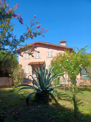 Pedona Villa | Chez Fredy