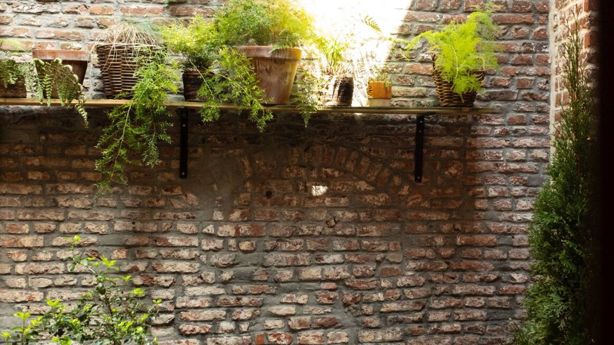 Old Lille House | Chez Georges