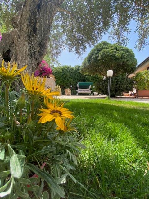 Citta del Mare Bed & Breakfast | Chez Gigì mareh24