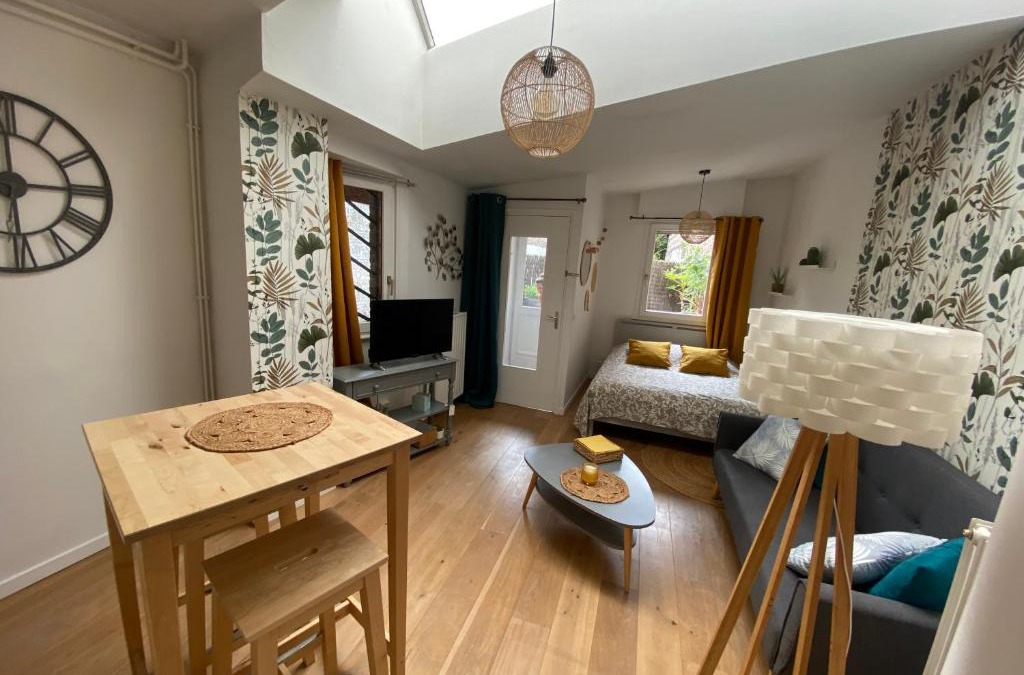 Lille-Moulins Apartment | Chez Jérôme
