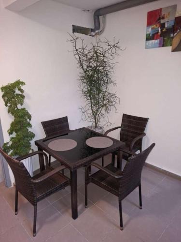 Pamandzi Apartment | Chez les Loulou