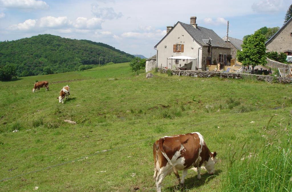 Sauvat House | Chez Marraine