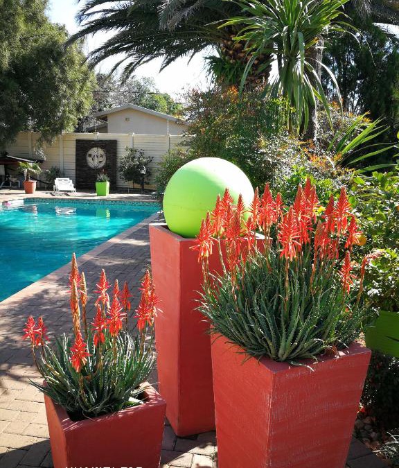 Universitas House | Chic Breeze
