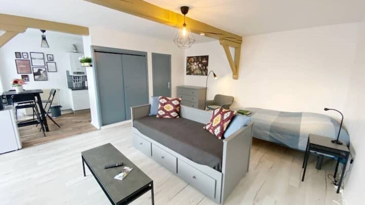 Cret de Roc Apartment | CHIC & COSY Studio BUSINESS Centre GARE NETFLIX