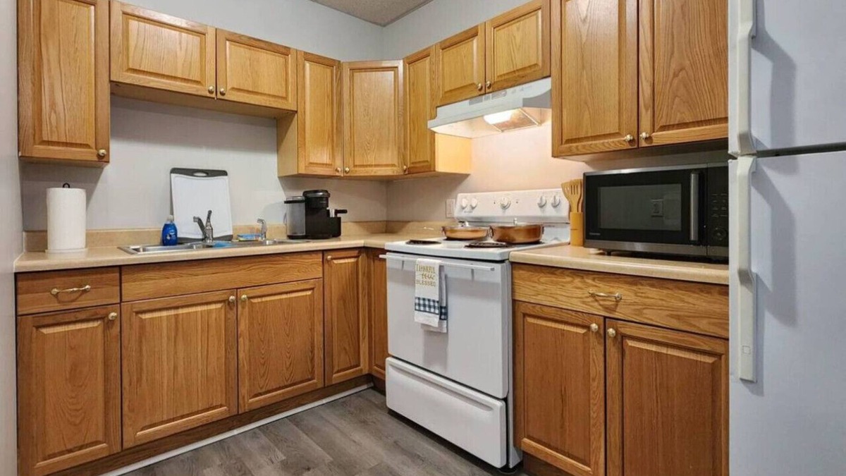 Indian Orchard Apartment | Chic & Cozy 1BR Retreat Near Downtown Springfield