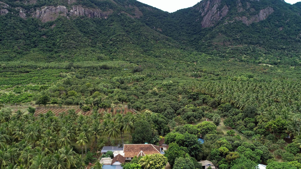 Pollachi Cottage | Chic Rustic farmhouse amidst a mango orchard beneath the Western Ghats of India
