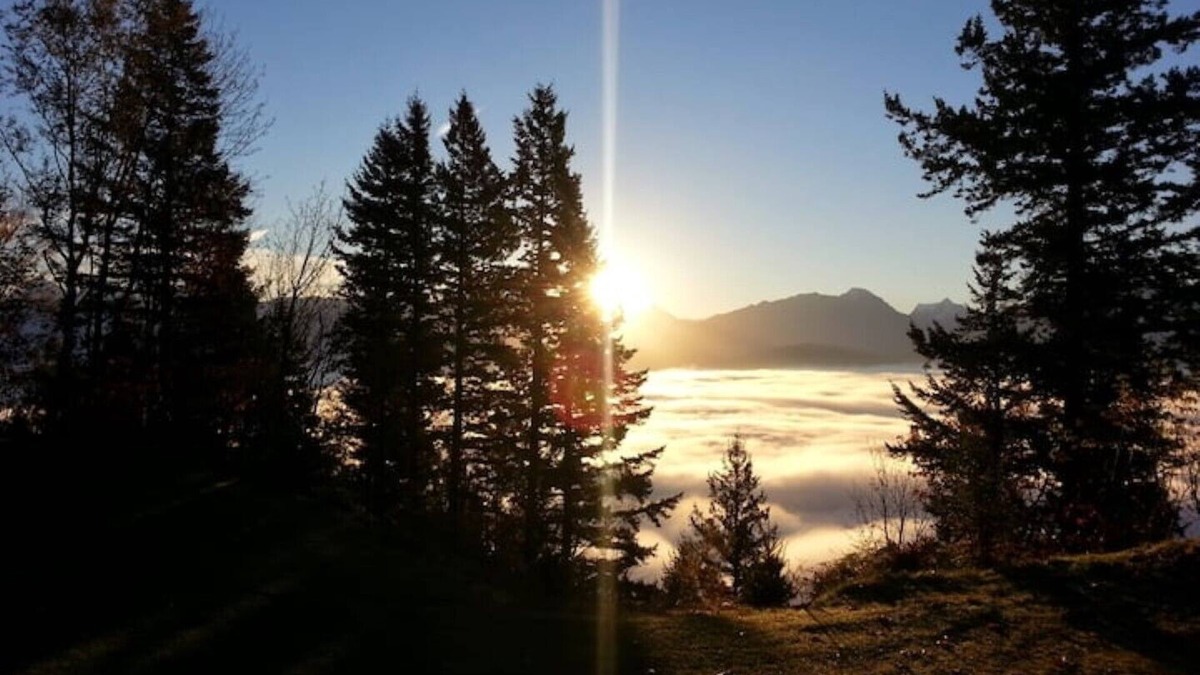 Sardis House | Chilliwack Mountain spacious suite