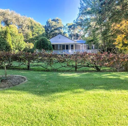 Wandiligong House | Chinese Whispers