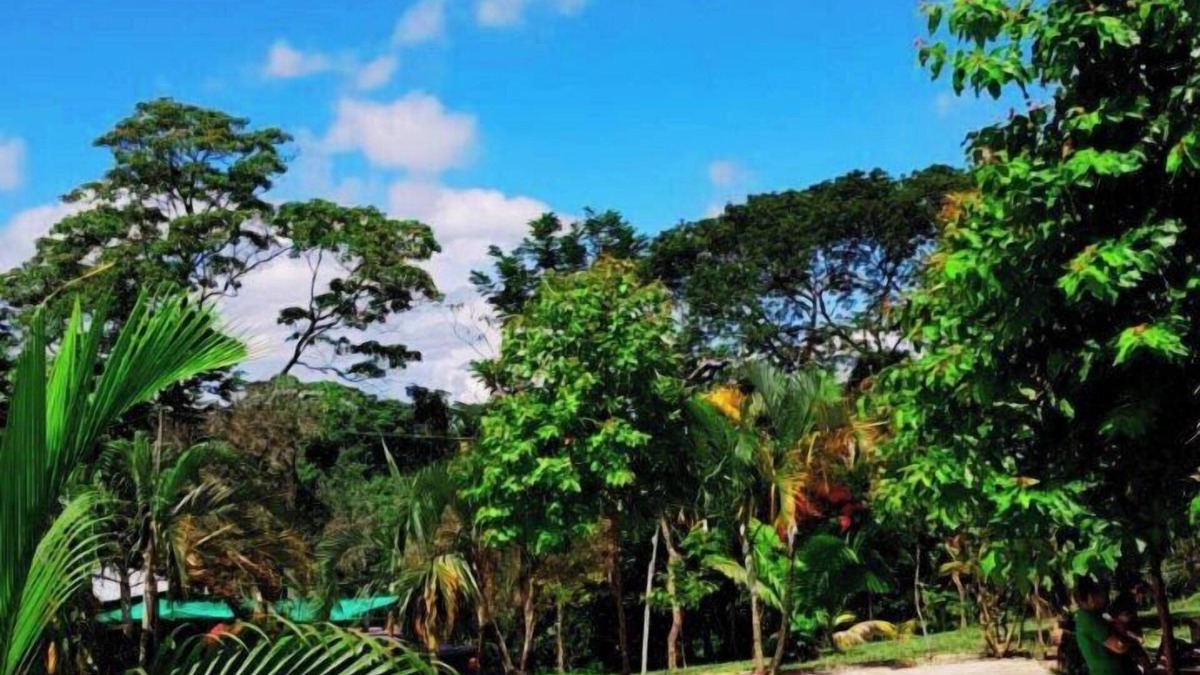 La Banda de Shilcayo Cabin | CHOCLINO ECOLODGE BUNGALOWS
