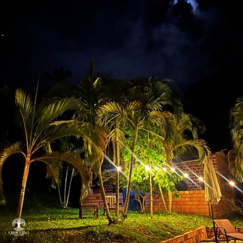 La Banda de Shilcayo Apartment | CHOCLINO ECOLODGE -Bungalows