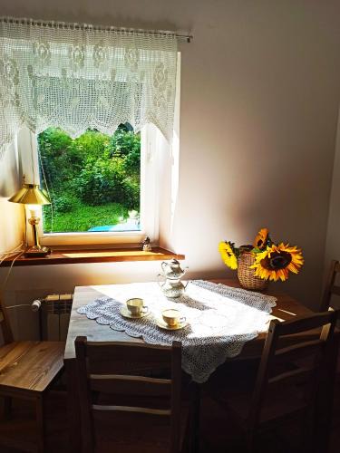 Jedlina-Zdroj Apartment | Chopina 6 na zielonym wzgórzu
