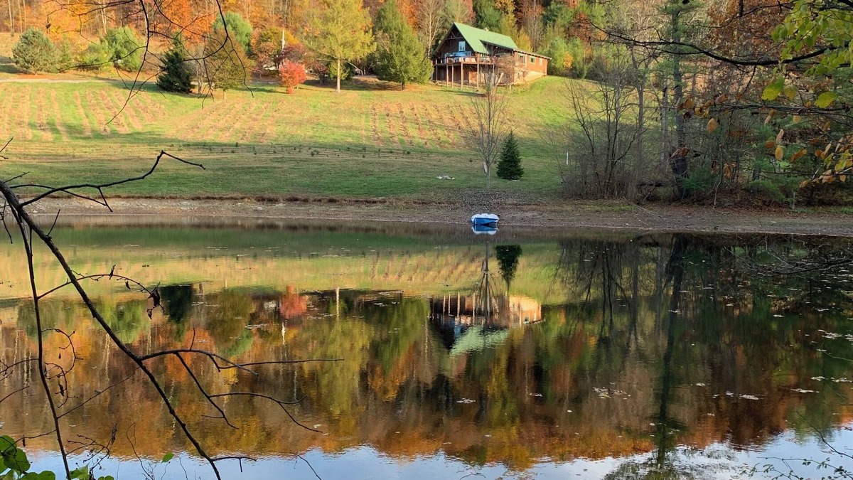 Mattawana Cabin | Christmas Tree Farm A-Frame Retreat: Sauna + Views + Near PSU
