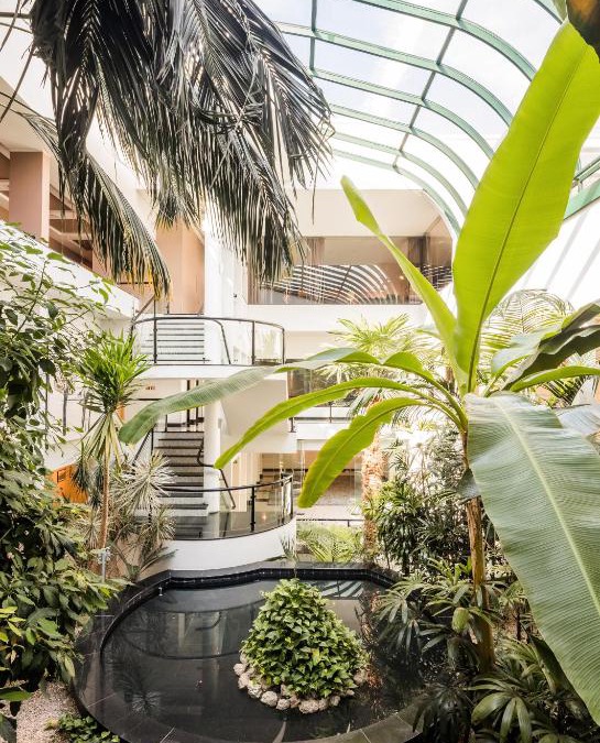 Santo Tirso Hotel | Cidnay Santo Tirso - Charming Hotel & Executive Center