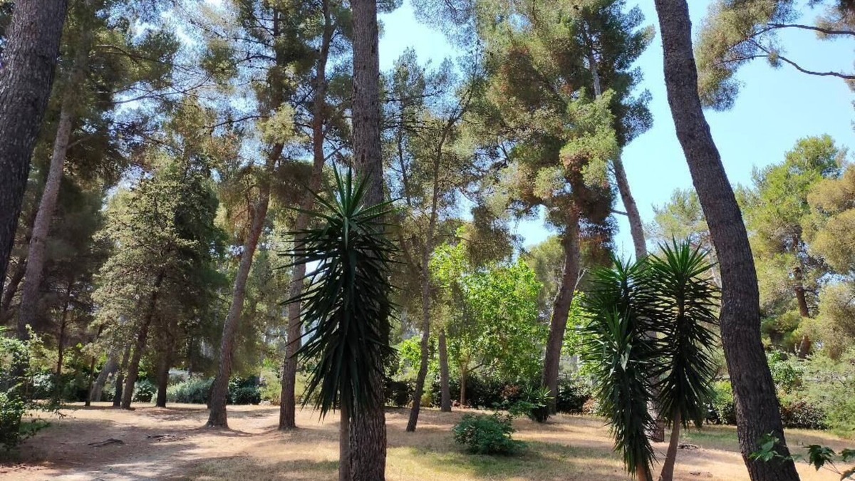 La Pointe Rouge Apartment | Cigalou at the gateway to the calanques, 2 km from the beach, 8 km from the Luminy university campus