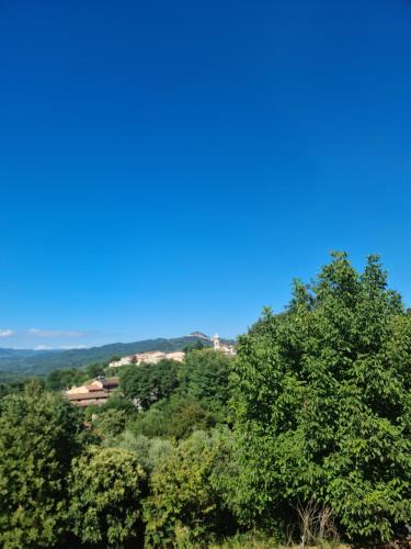 Celle di Bulgheria House | Cilento House Garden B&B MIRELLA