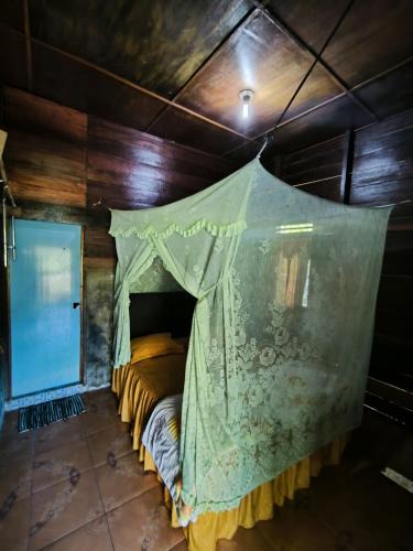 Ketambe House | Cinta alam inn