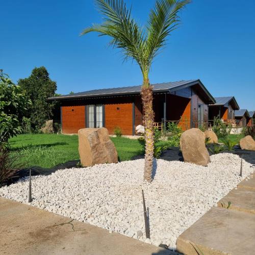 Cirali House | Cirali Simge Holiday Houses